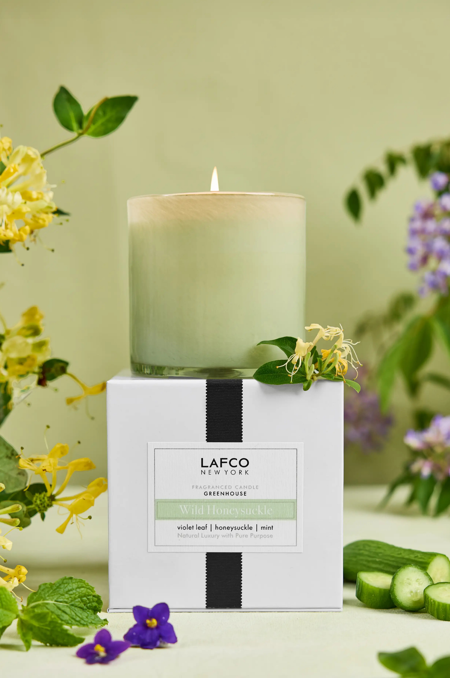 Wild Honeysuckle Signature Candle