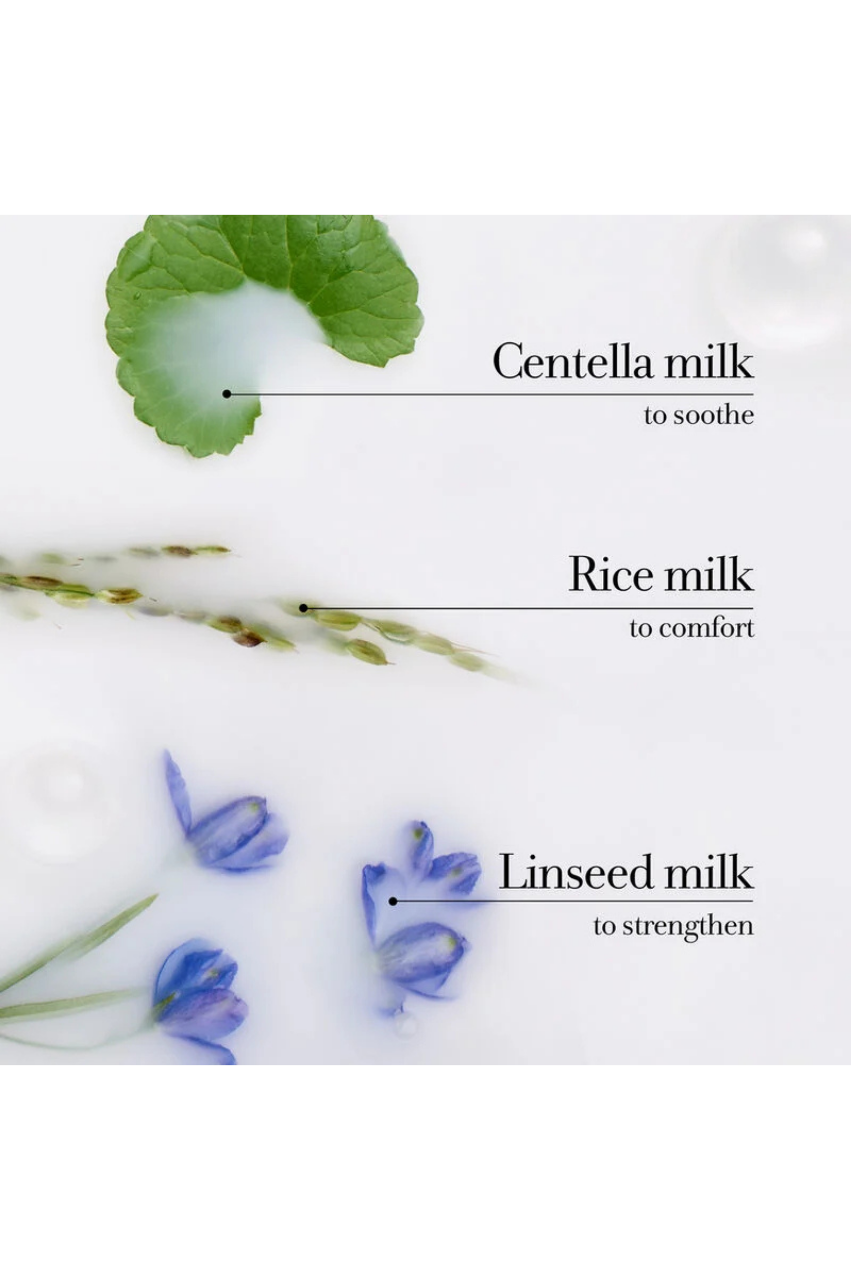 Milk Body Cleanser